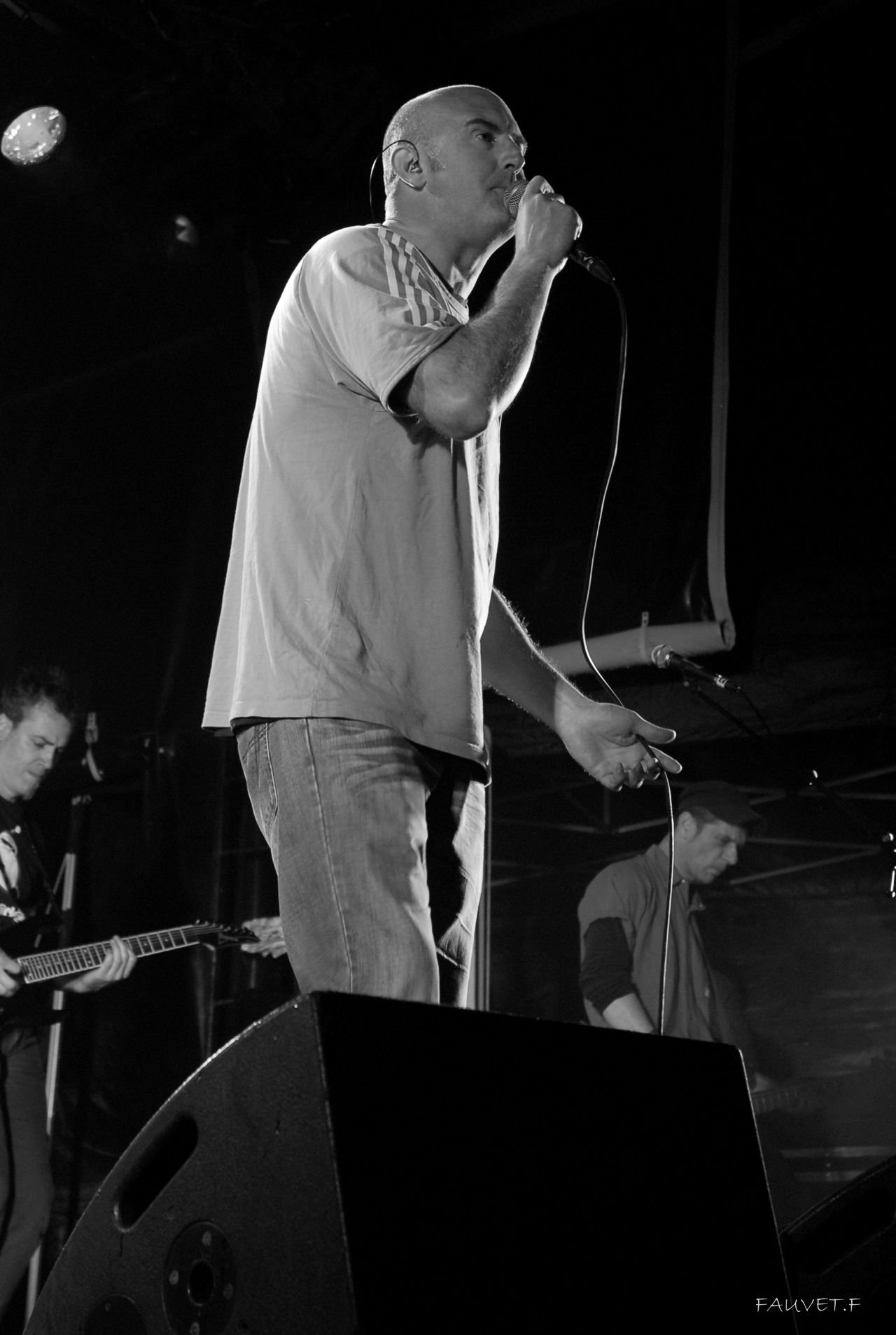 2010 (77)