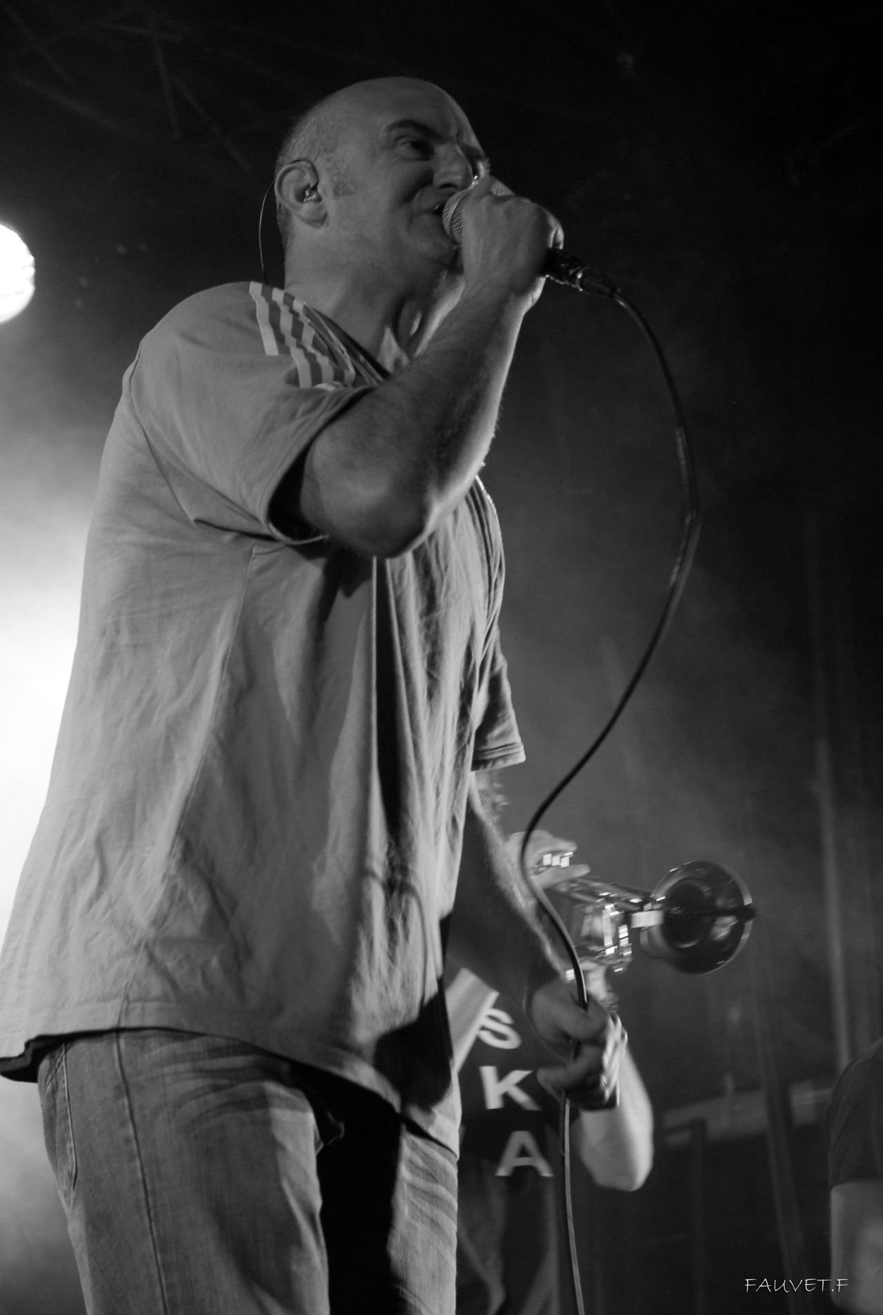 2010 (79)