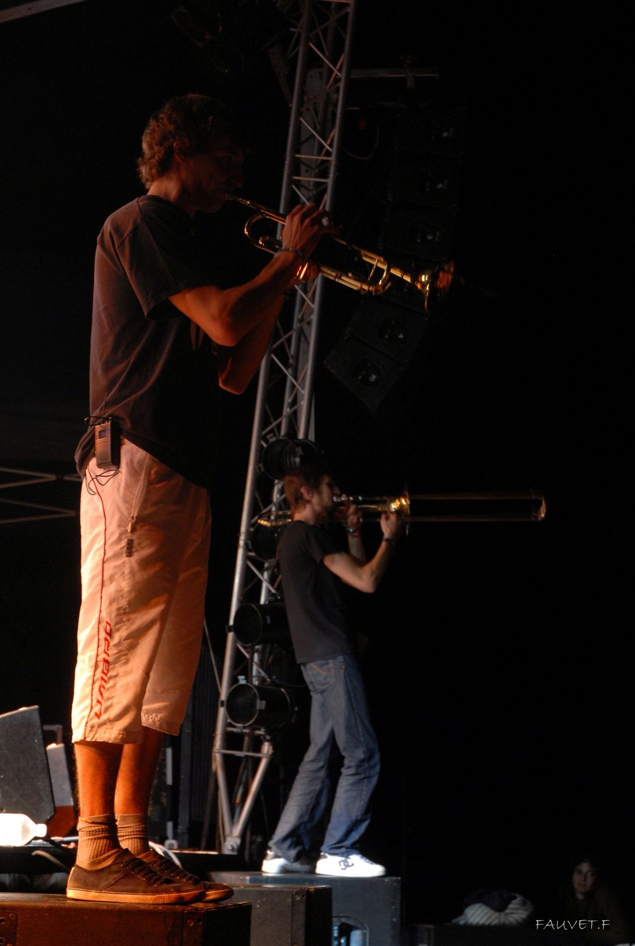2010 (84)
